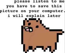 25517907f37f2d27d1beb370b5f10ac9a399430506eaeeba5488734a689b7edd.jpeg