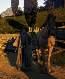 bdo.JPG