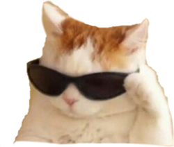3708742.png