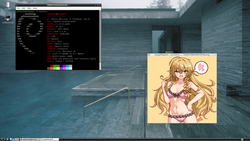 Desktop 2023 - 11 - 14 (Debian).png