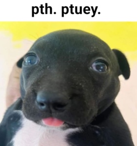 1729062967165.jpg