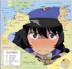 1714753466397948.jpg