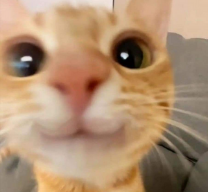 1742449234560212.png