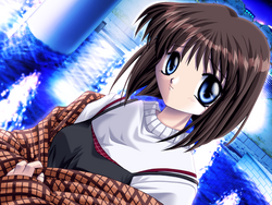 FGSR032B.png